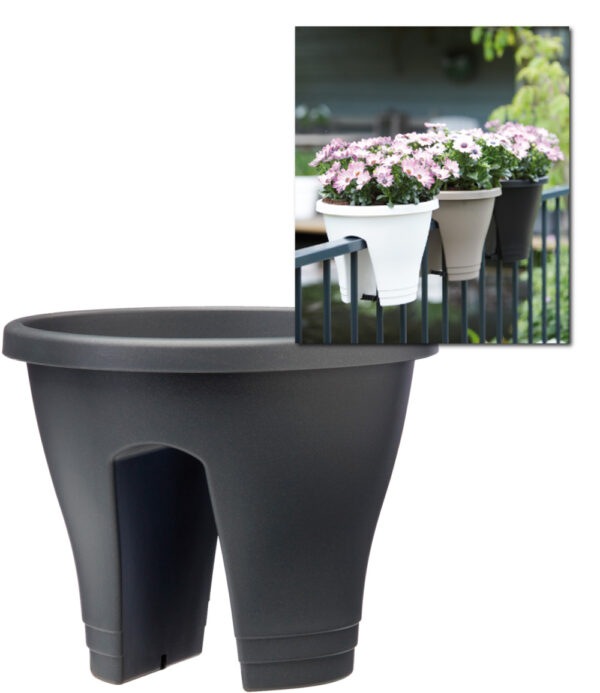 Corsica Flower Bridge® anthrazit, 30 cm ø