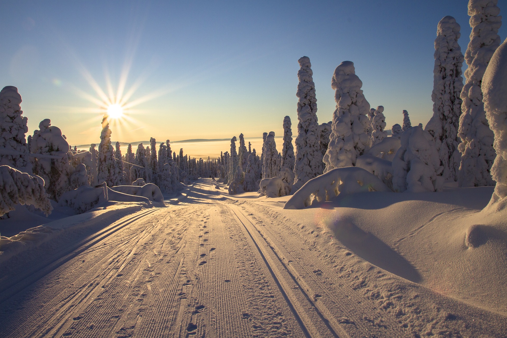 Lappland Im Winter