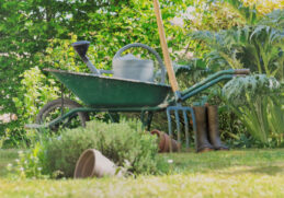 Das braucht man für den Garten